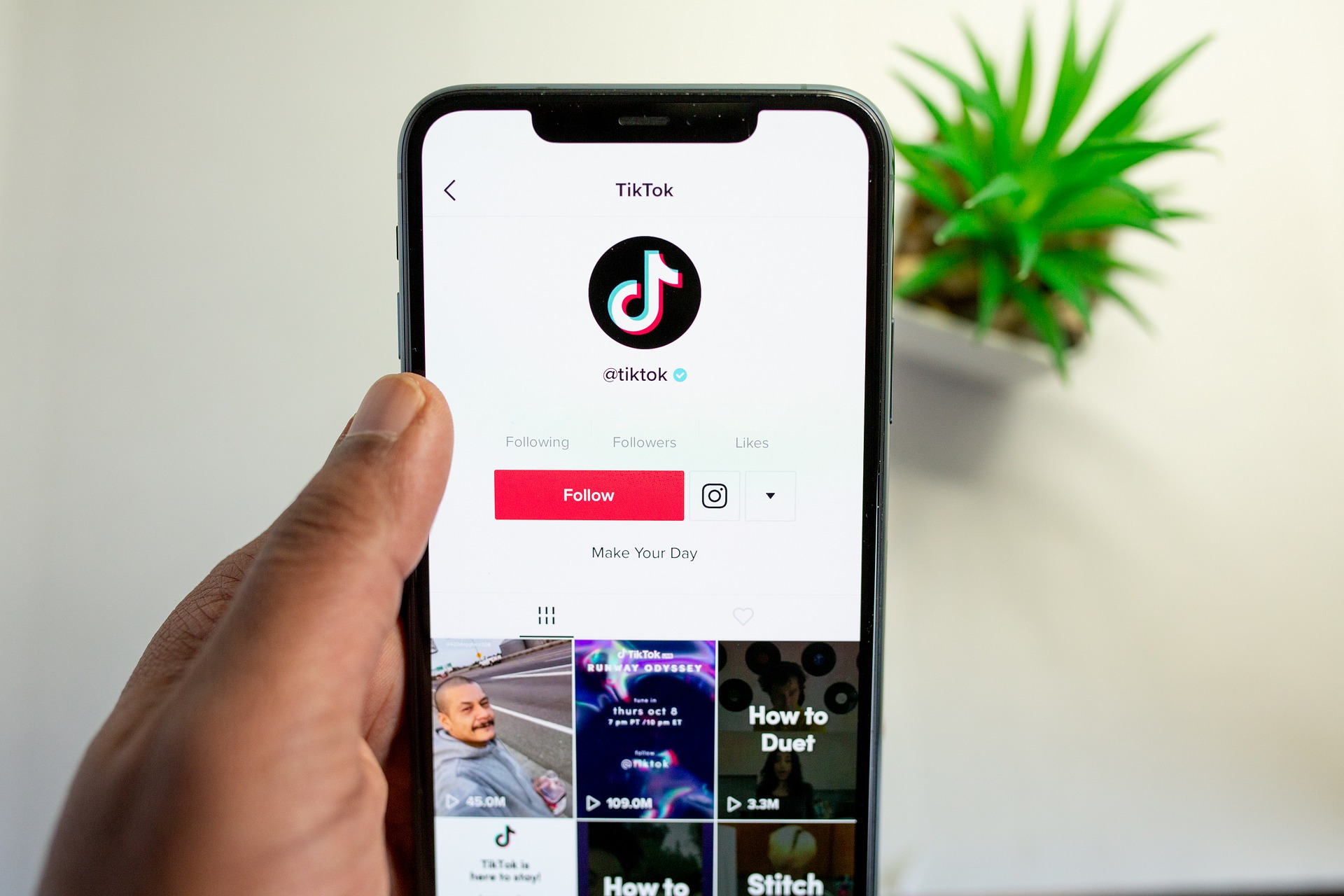 TikTok-trendit eivät tunnu loppuvan kesken, sillä joka viikko julkaistaan uusia kappaleita, sekä myös vanhat biisit muistuvat mieleen.