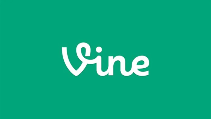 Vine-logo. Vine-videot tulevat takaisin!