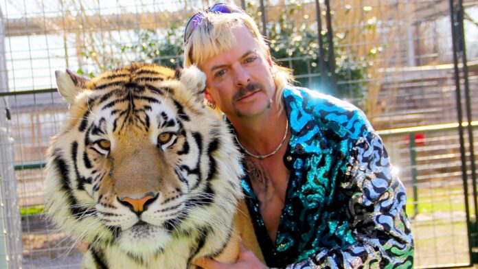 Joe Exotic tiikerin kanssa. Tiger King -tähti Joe Exotic myy puheluita vankilasta jouluksi!